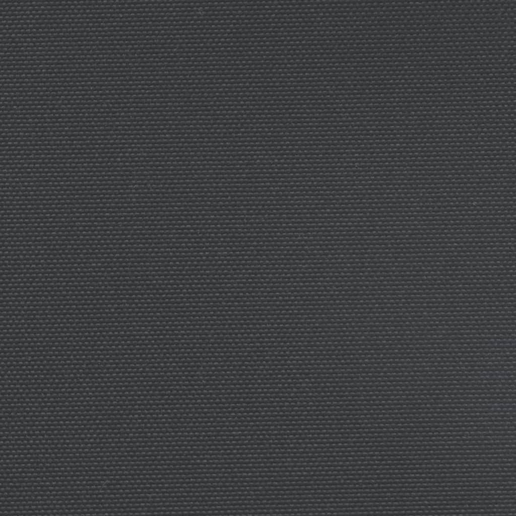vidaXL Ištraukiama šoninė pertvara, juodos spalvos, 120x1200cm