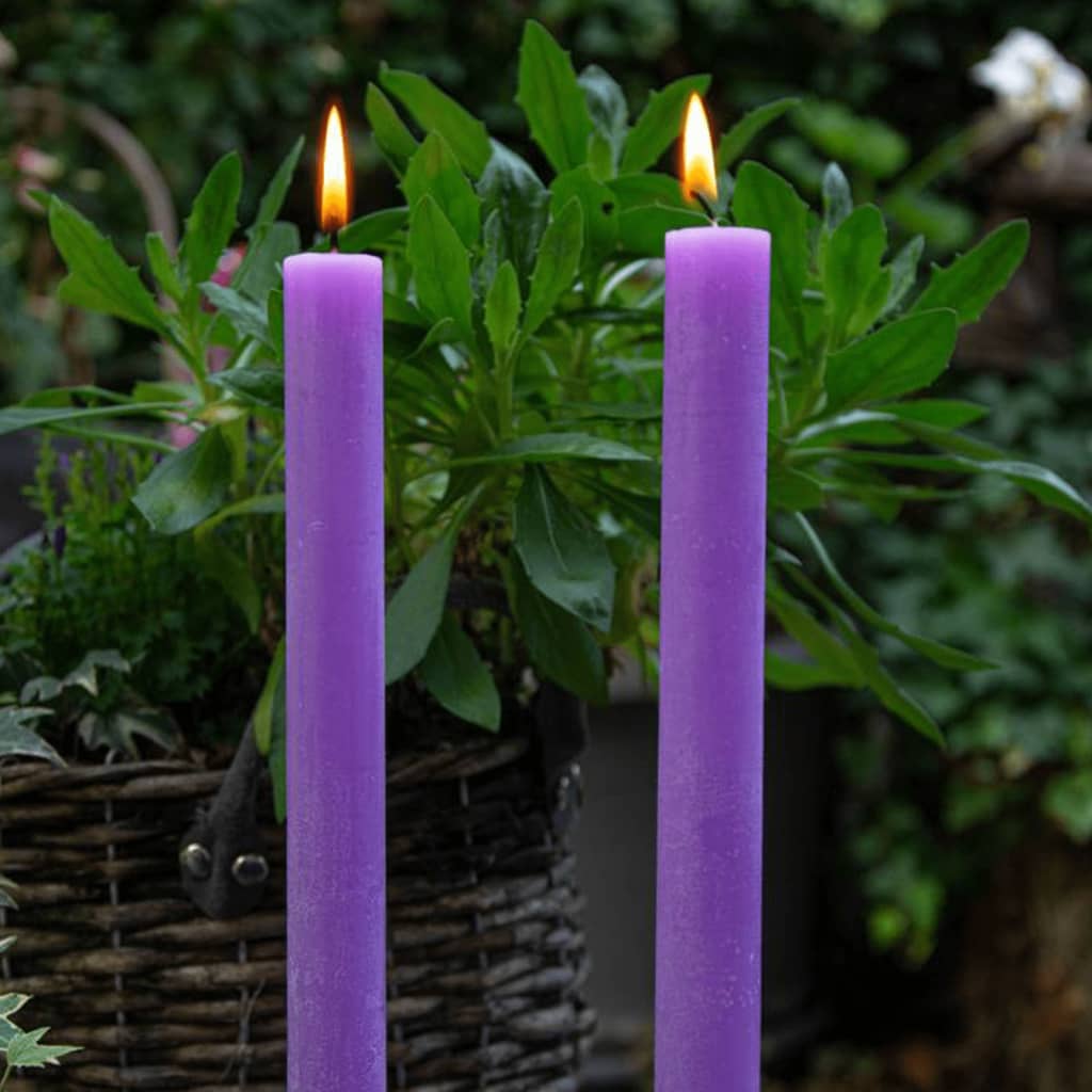 Bolsius Stalo žvakės Shine, 16vnt., ryškios violetinės spalvos, 27cm
