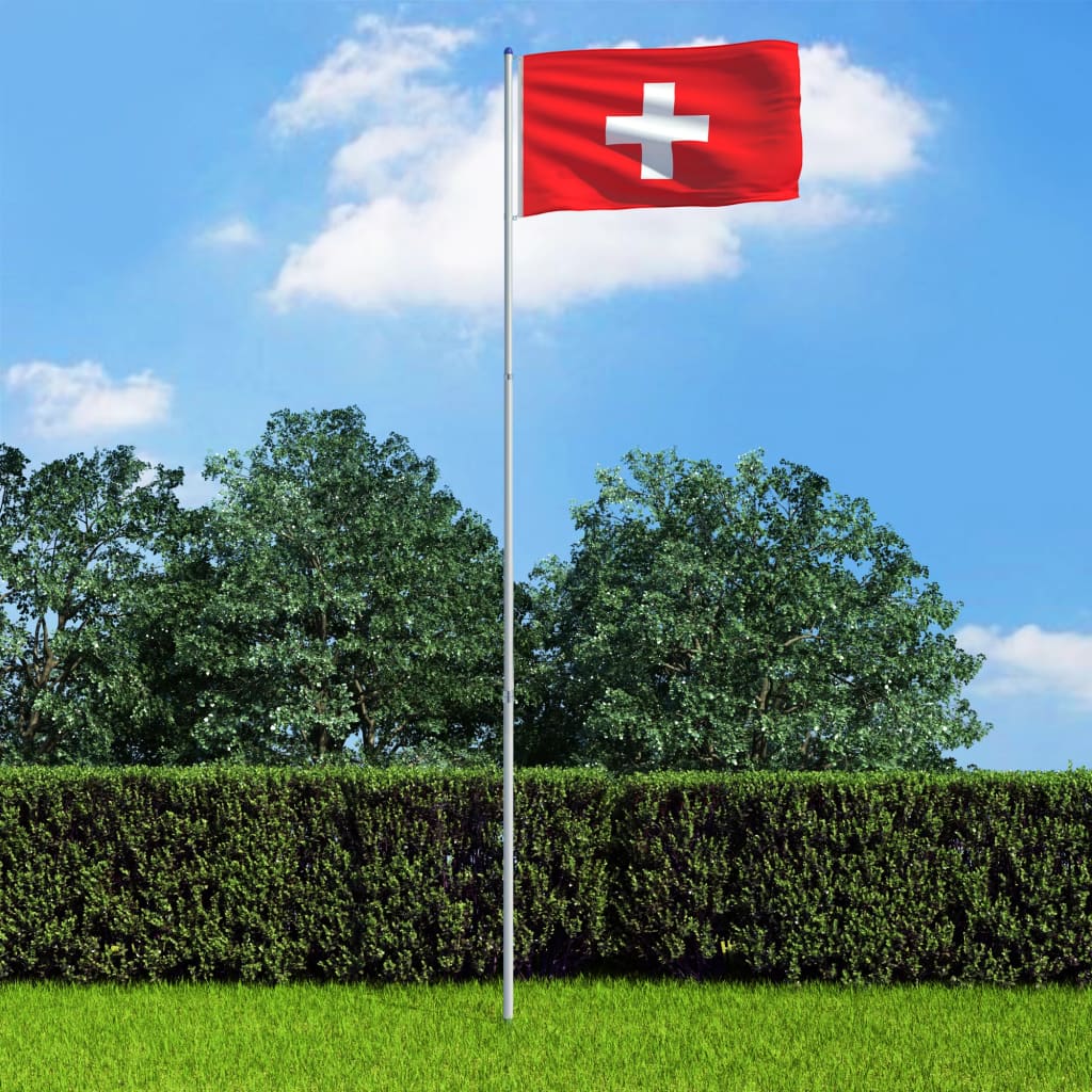vidaXL Šveicarijos vėliava su stiebu, aliuminis, 6m