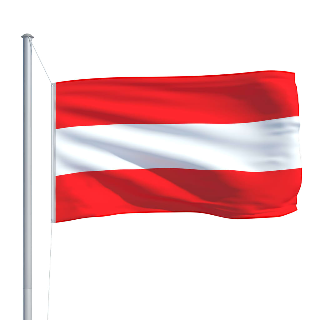 vidaXL Austrijos vėliava su stiebu, aliuminis, 6,2m