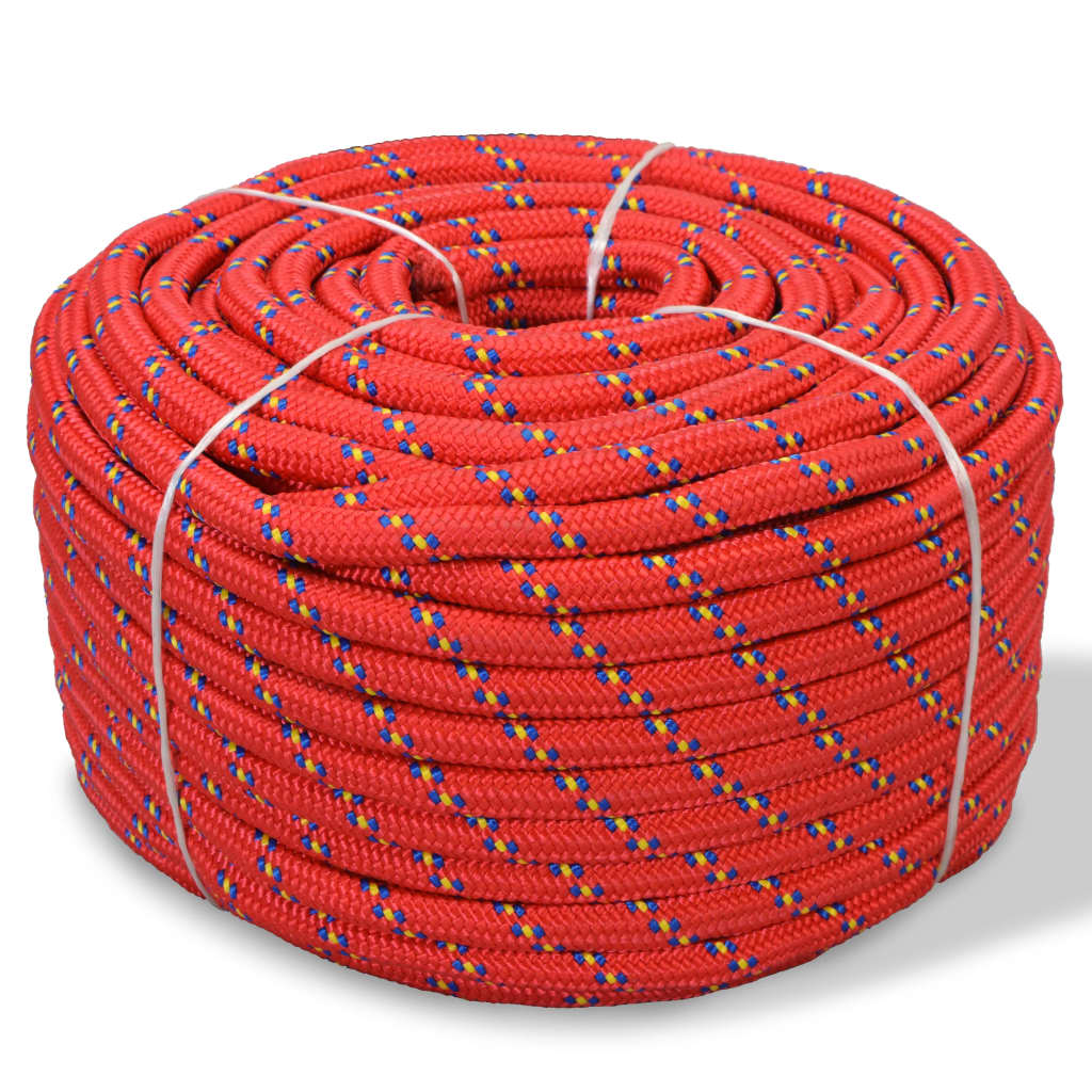 vidaXL Jūrinė virvė, polipropilenas, 6mm, 100m, raudona