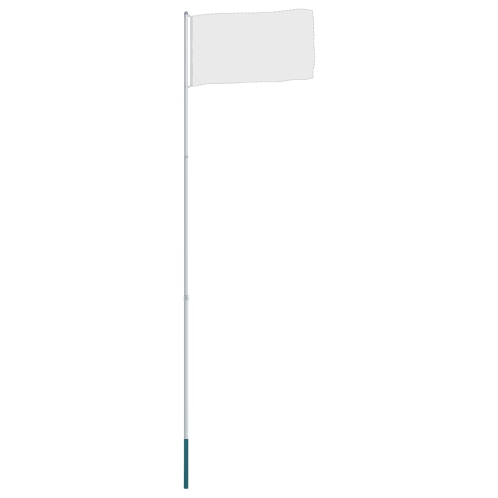 vidaXL Teleskopinis vėliavos stiebas, aliuminis, 4m