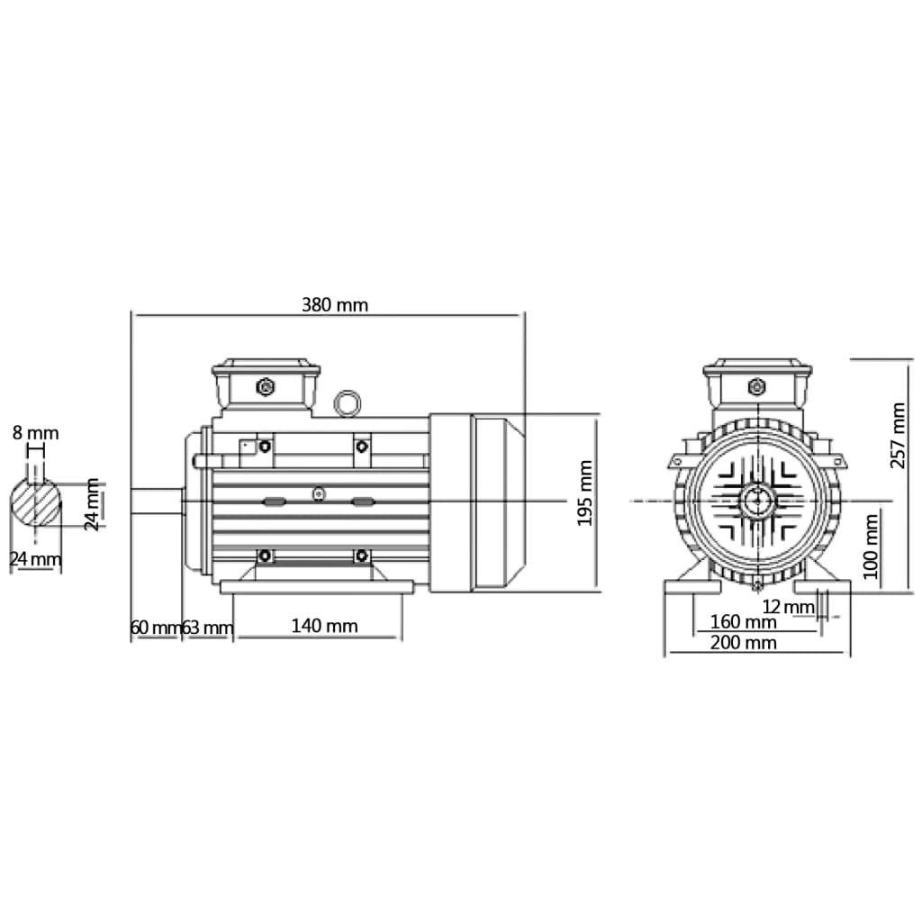 vidaXL Trifazis elektros variklis, 3kW/4AG, 2 polių, 2840aps./min.