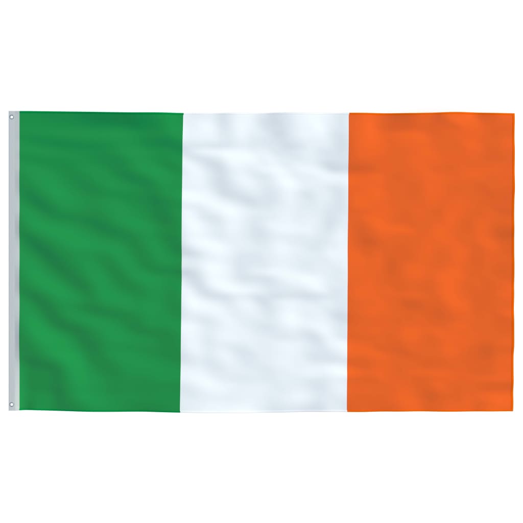 vidaXL Airijos vėliava su stiebu, aliuminis, 6,23m