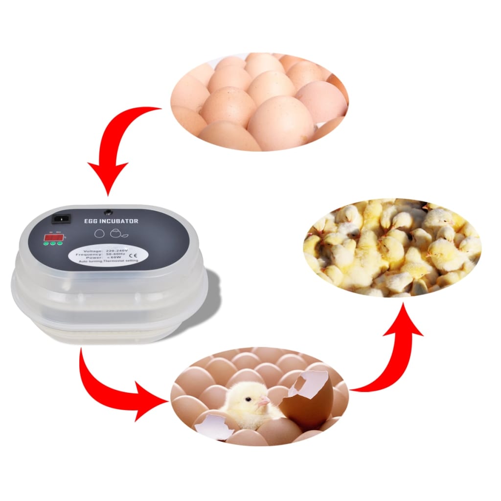 Automatinis Inkubatorius Kiaušiniams, 9 Vištų Kiaušiniams