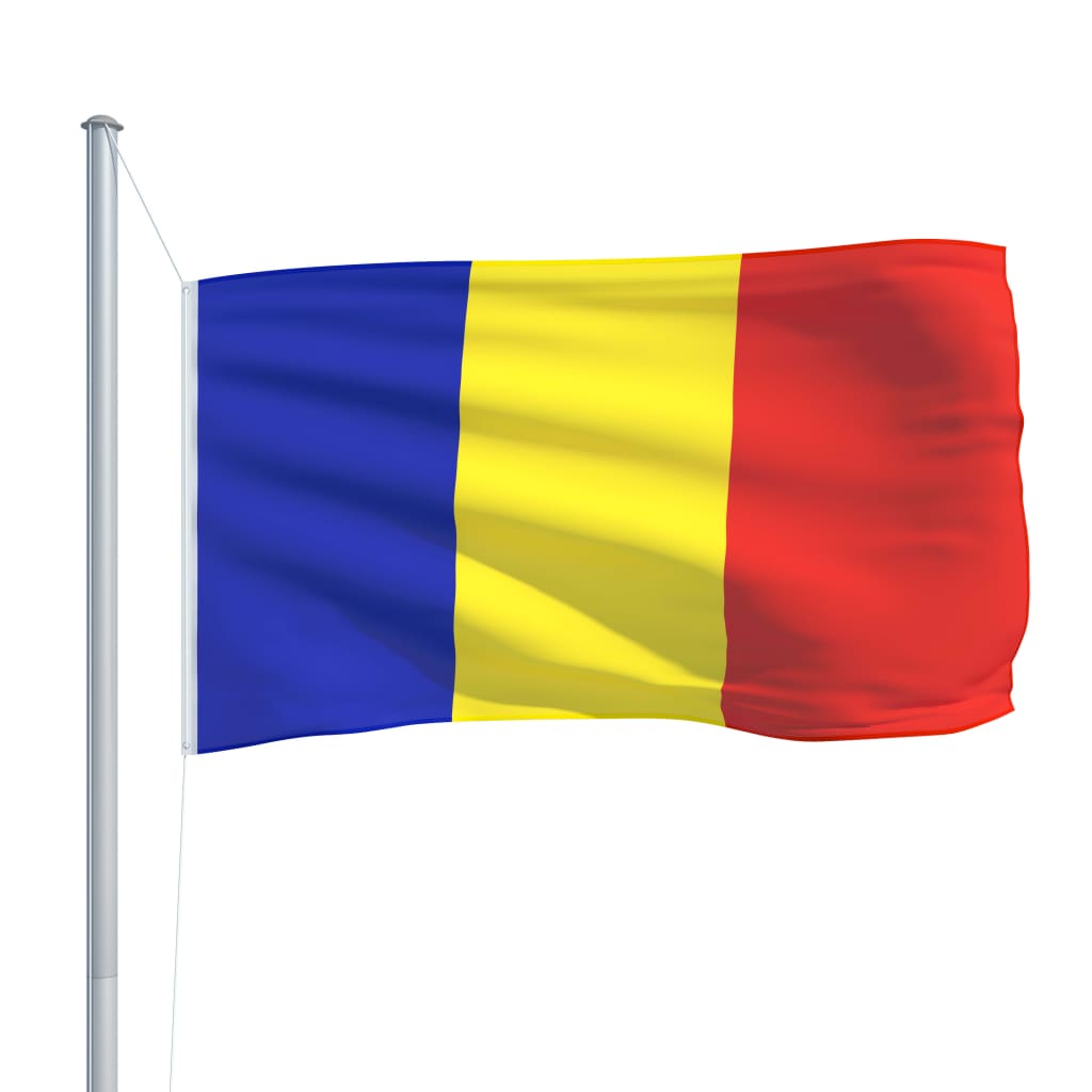 vidaXL Rumunijos vėliava su stiebu, aliuminis, 6,2m