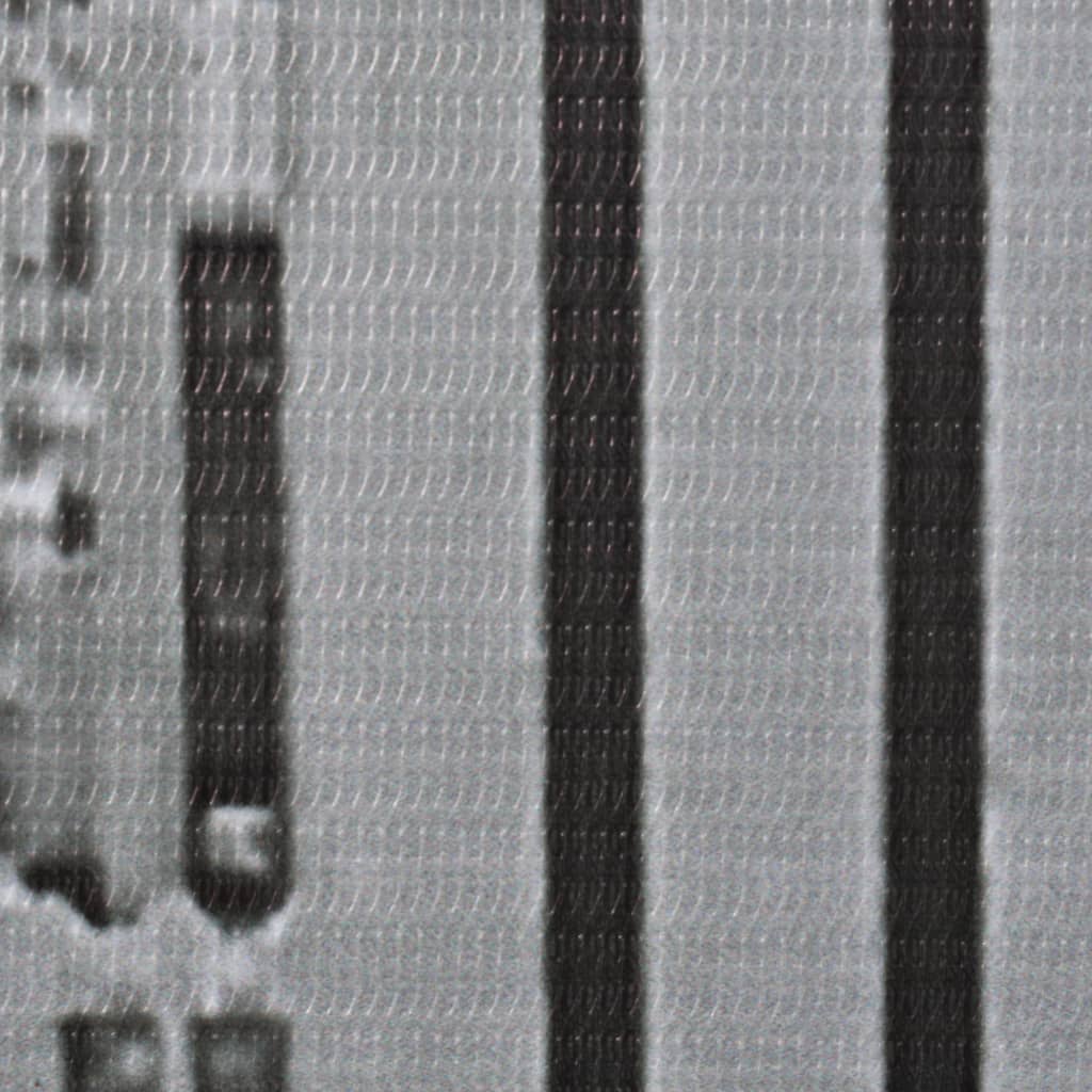 vidaXL Kambario pertvara, juoda ir balta, 120x170cm, Niujorkas dieną