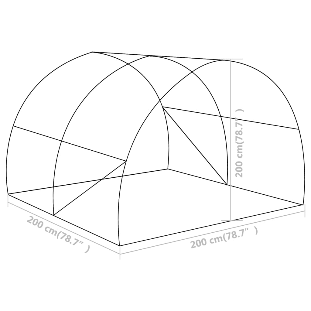 vidaXL Šiltnamis, 2x2x2m, 4m²