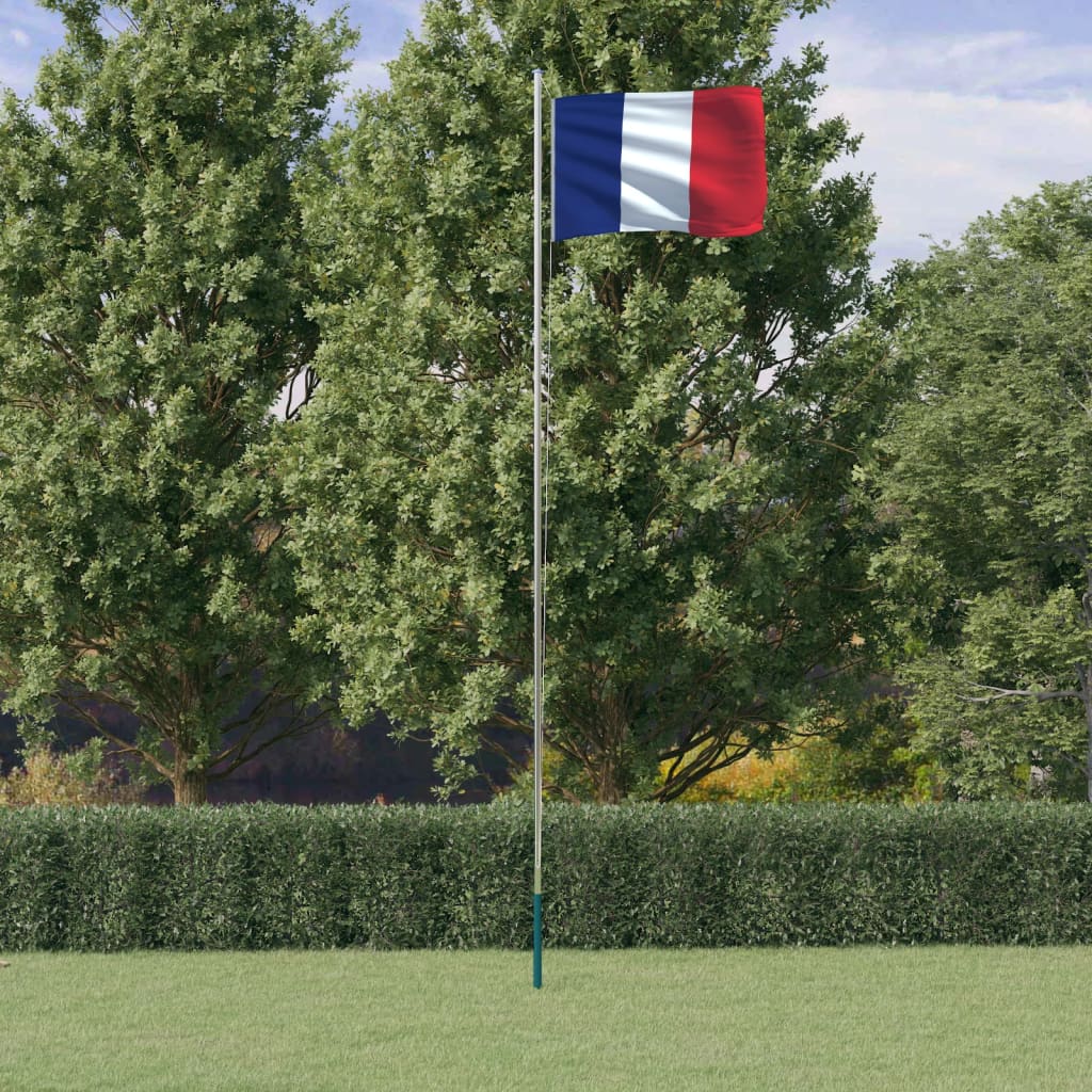 vidaXL Prancūzijos vėliava su stiebu, aliuminis, 6,23m
