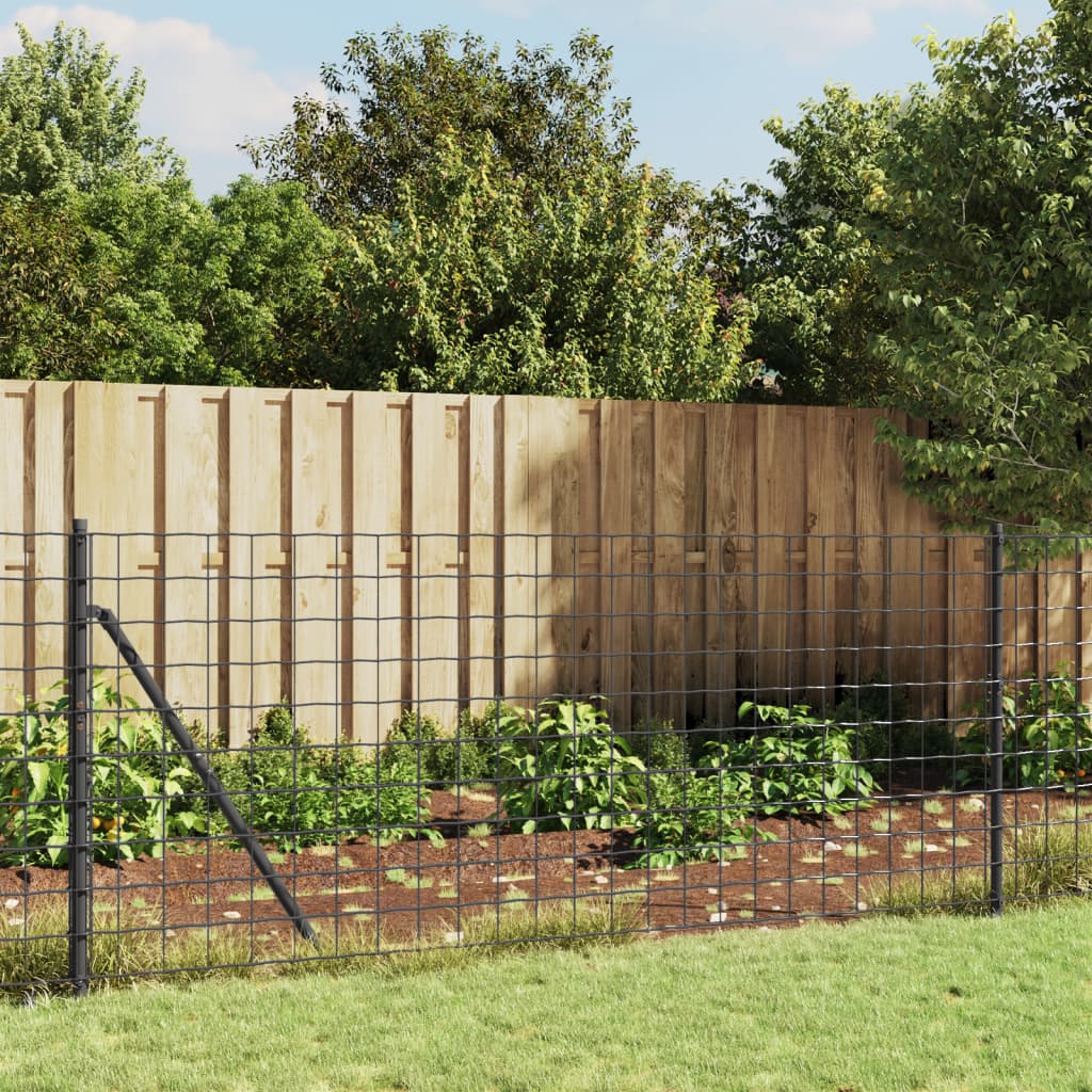 vidaXL Vielinė tinklinė tvora su smaigais, antracito spalvos, 0,8x25m
