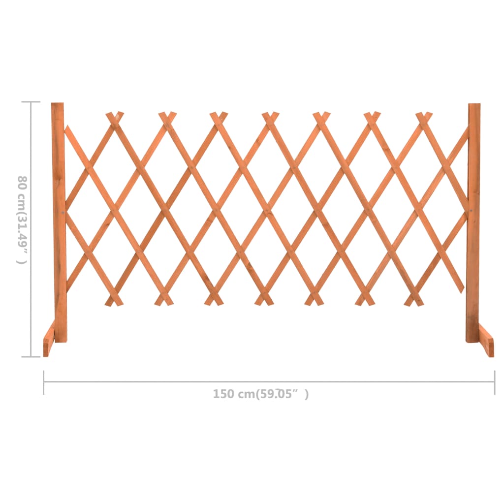 vidaXL Sodo treliažas-tvora, oranžinis, 150x80cm, eglės masyvas