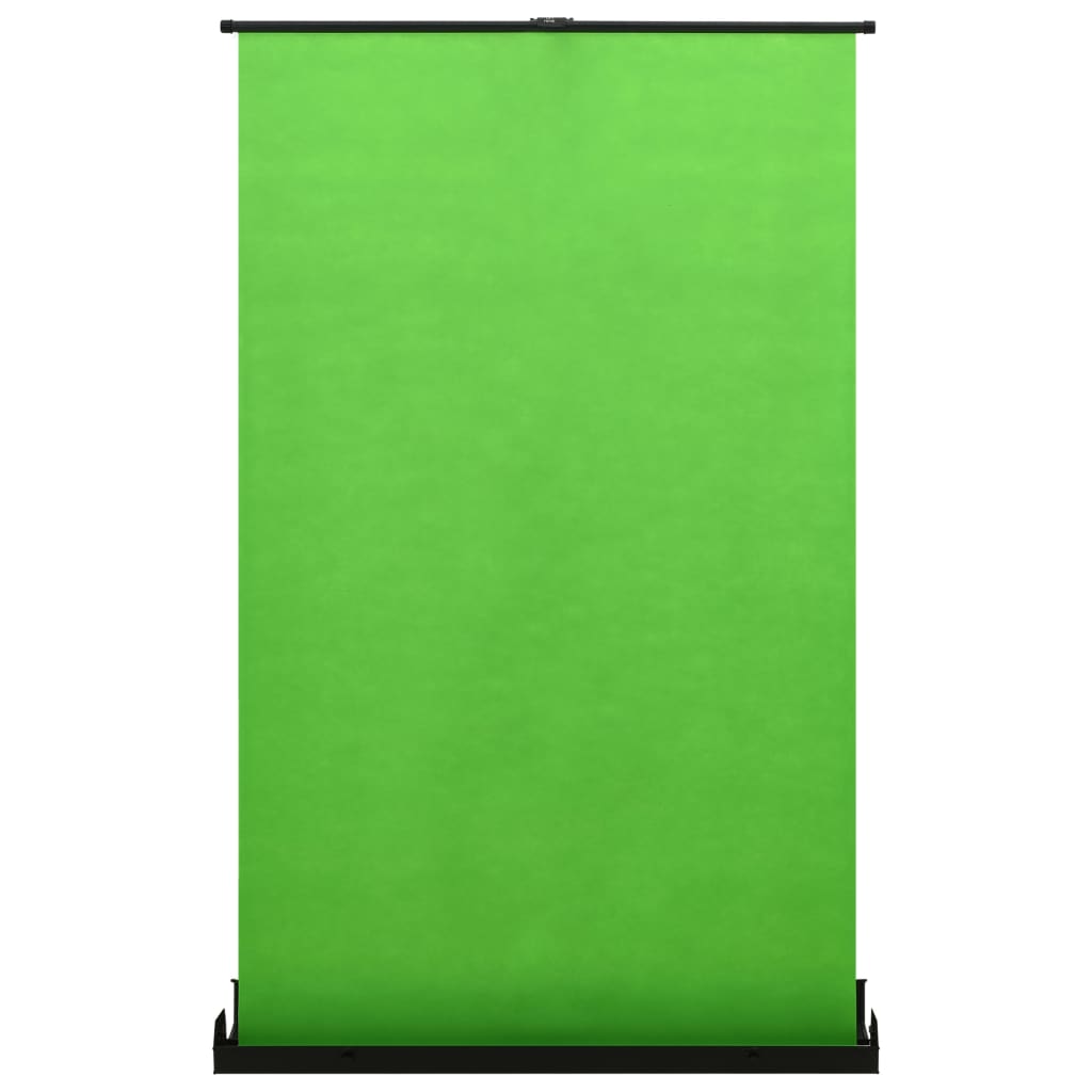 vidaXL Fotografinis fonas, žalios spalvos, 95", 4:3