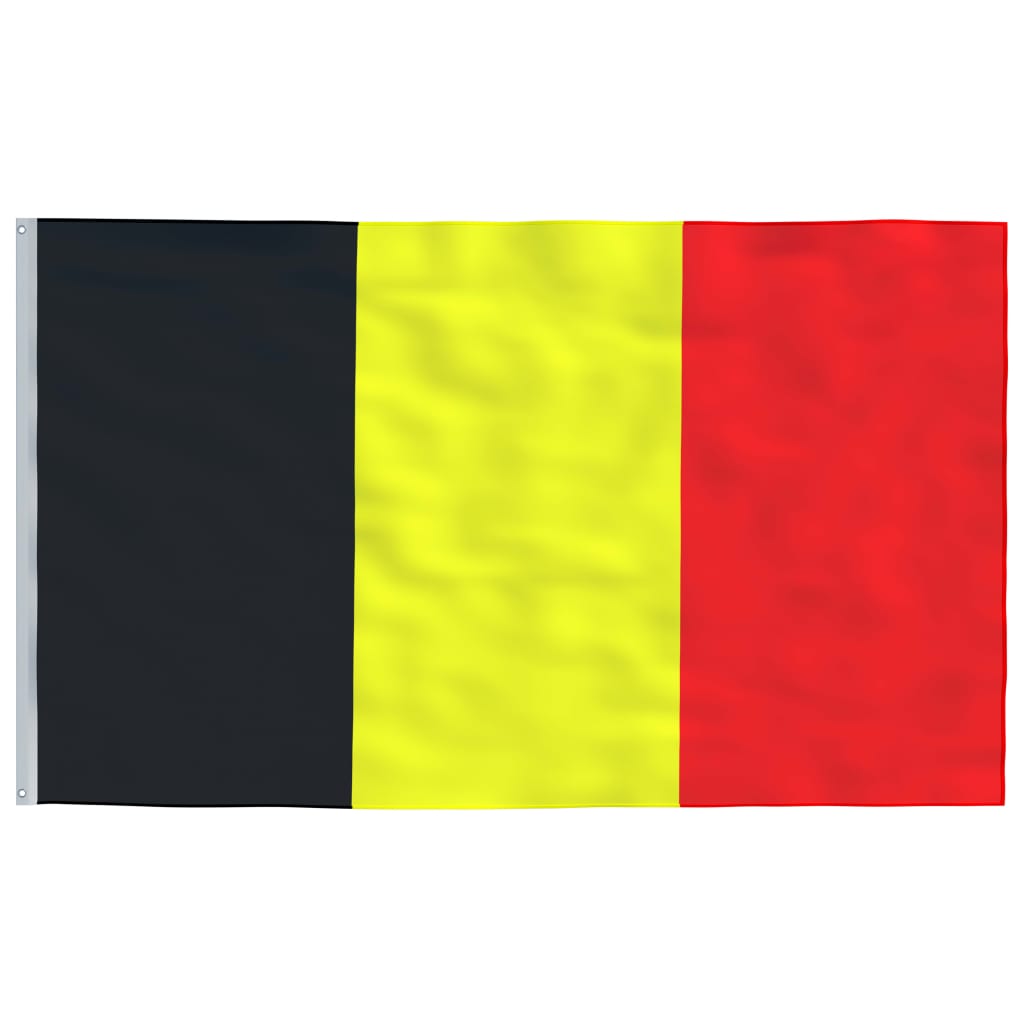 vidaXL Belgijos vėliava su stiebu, aliuminis, 6m