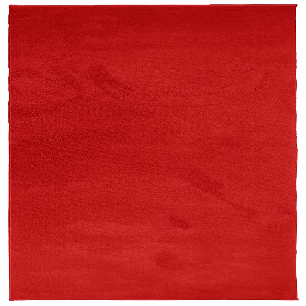 vidaXL Kilimas OVIEDO, raudonos spalvos, 200x200cm, trumpi šereliai