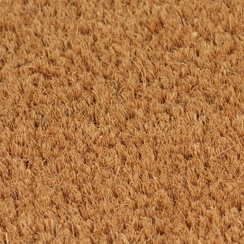 vidaXL Durų kilimėlis, natūralus, 100x200cm, kokoso pluoštas
