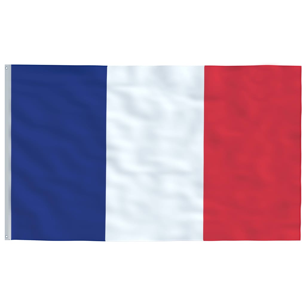 vidaXL Prancūzijos vėliava su stiebu, aliuminis, 5,55m