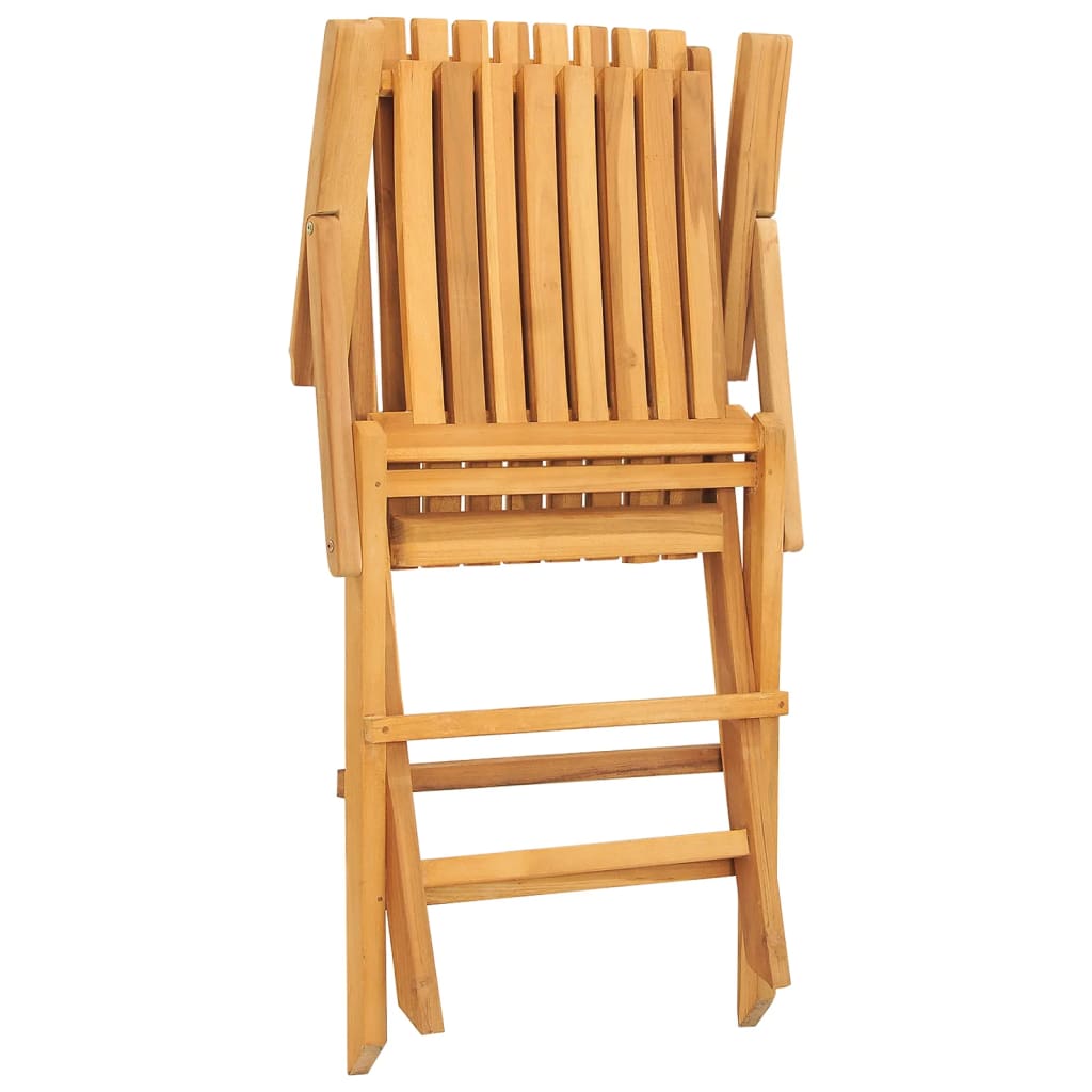 vidaXL Sulankstomos sodo kėdės, 2vnt., 61x67x90cm, tikmedžio masyvas
