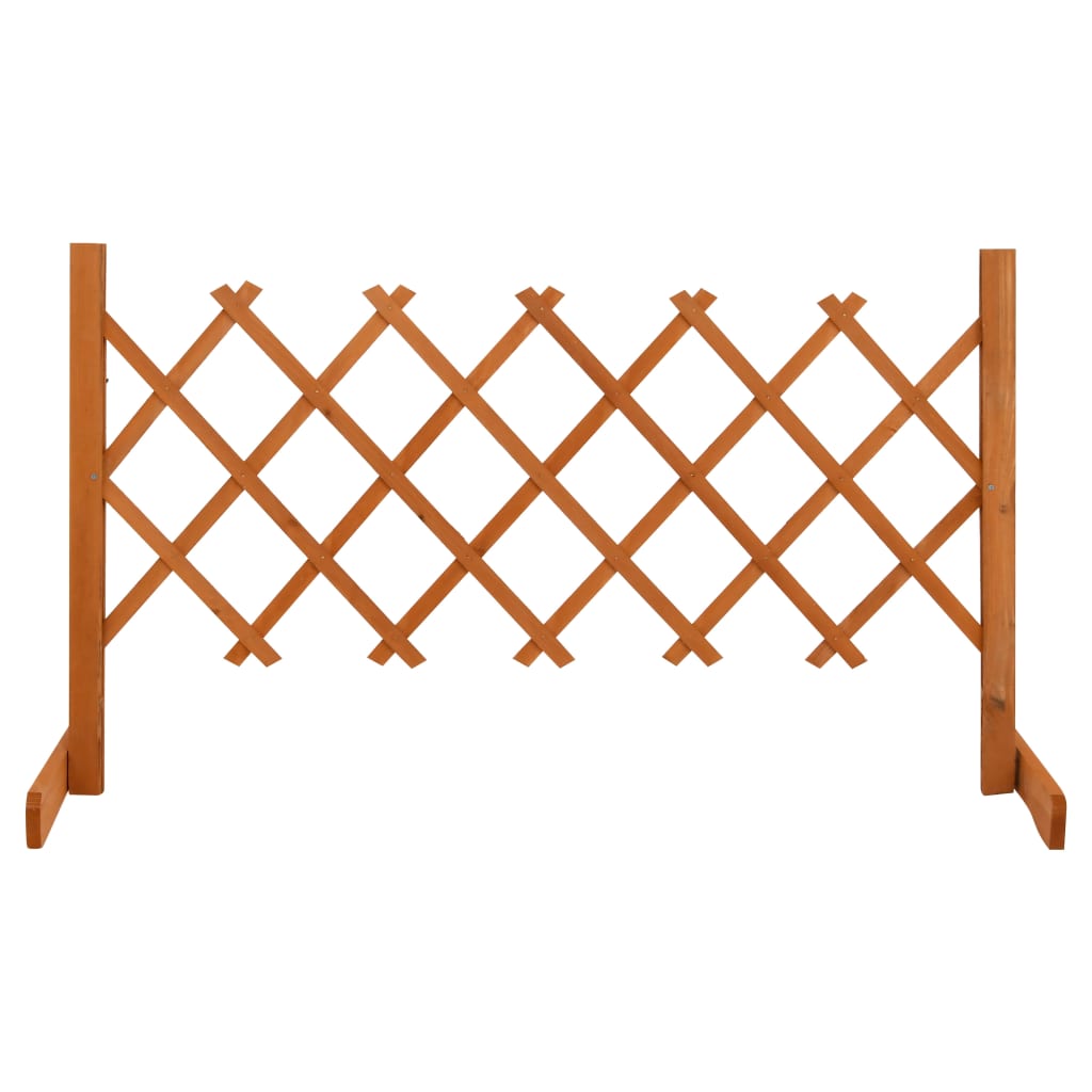 vidaXL Sodo treliažas-tvora, oranžinis, 120x60cm, eglės masyvas