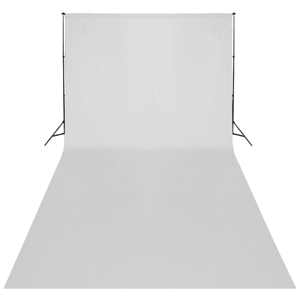 vidaXL Rinkinys fotostudijai, baltas fonas 600x300cm ir šviestuvai