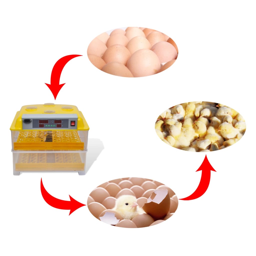 Automatinis inkubatorius 96 vištų kiaušiniams