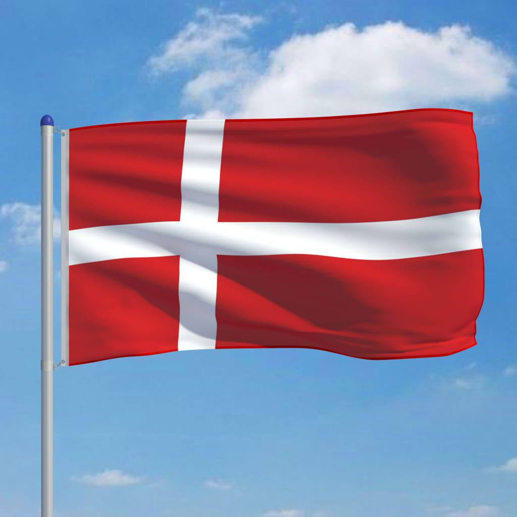 vidaXL Danijos vėliava su stiebu, aliuminis, 6m