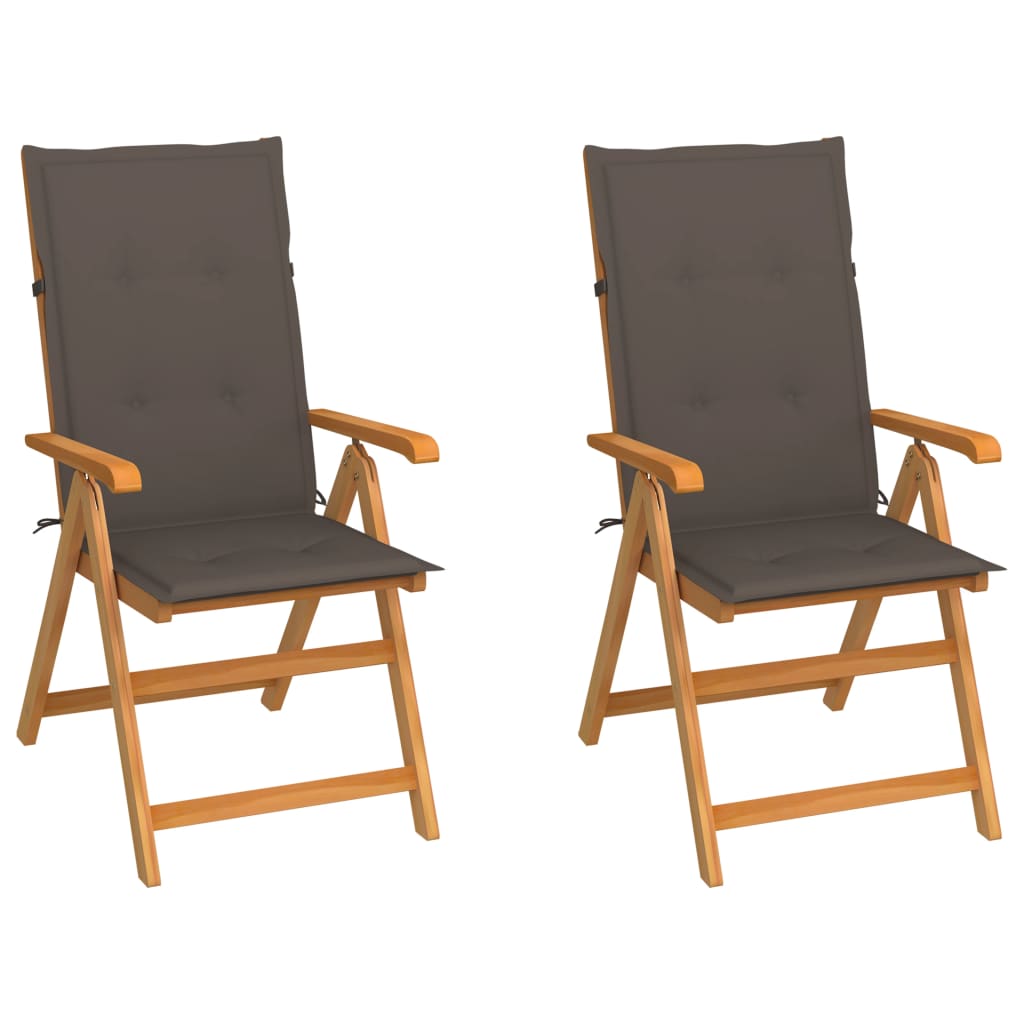 vidaXL Sodo kėdės su taupe spalvos pagalvėlėmis, 2vnt., tikmedis