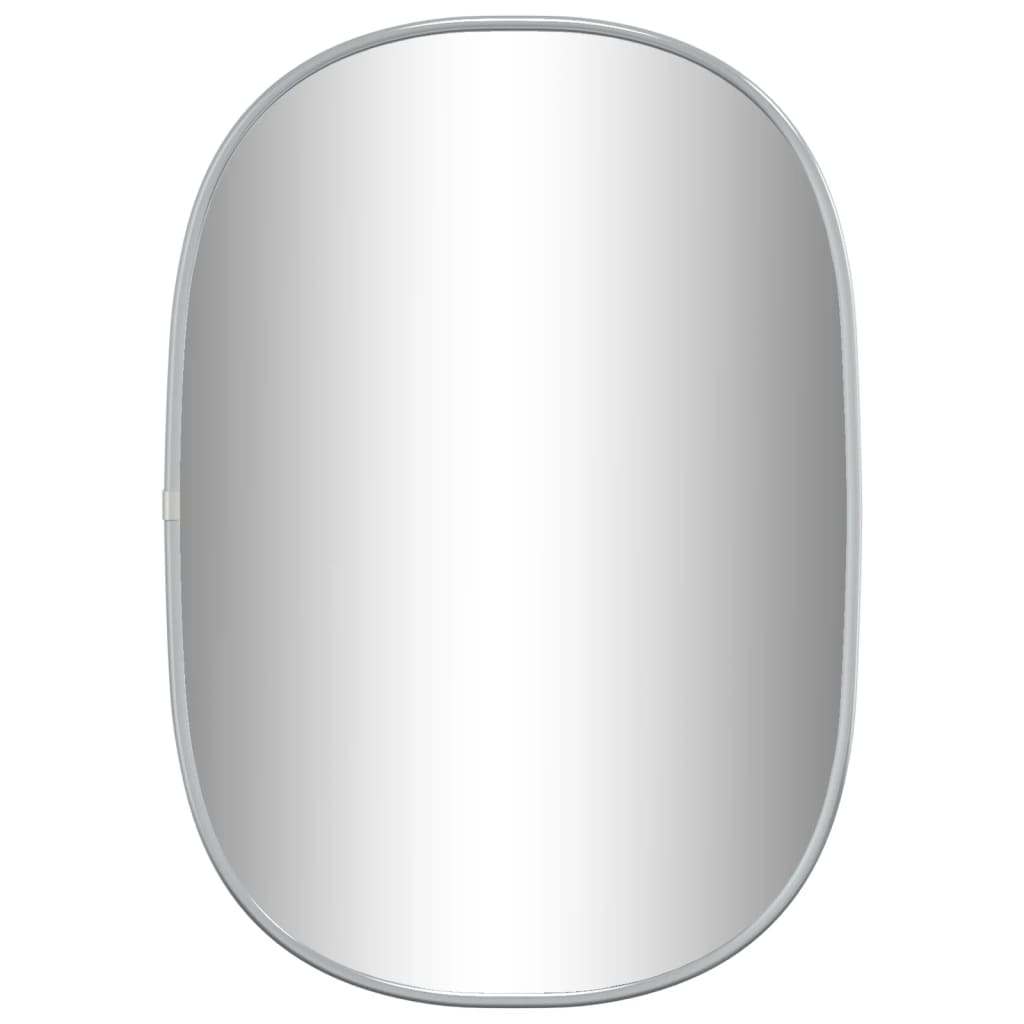 vidaXL Sieninis veidrodis, sidabrinės spalvos, 50x35cm
