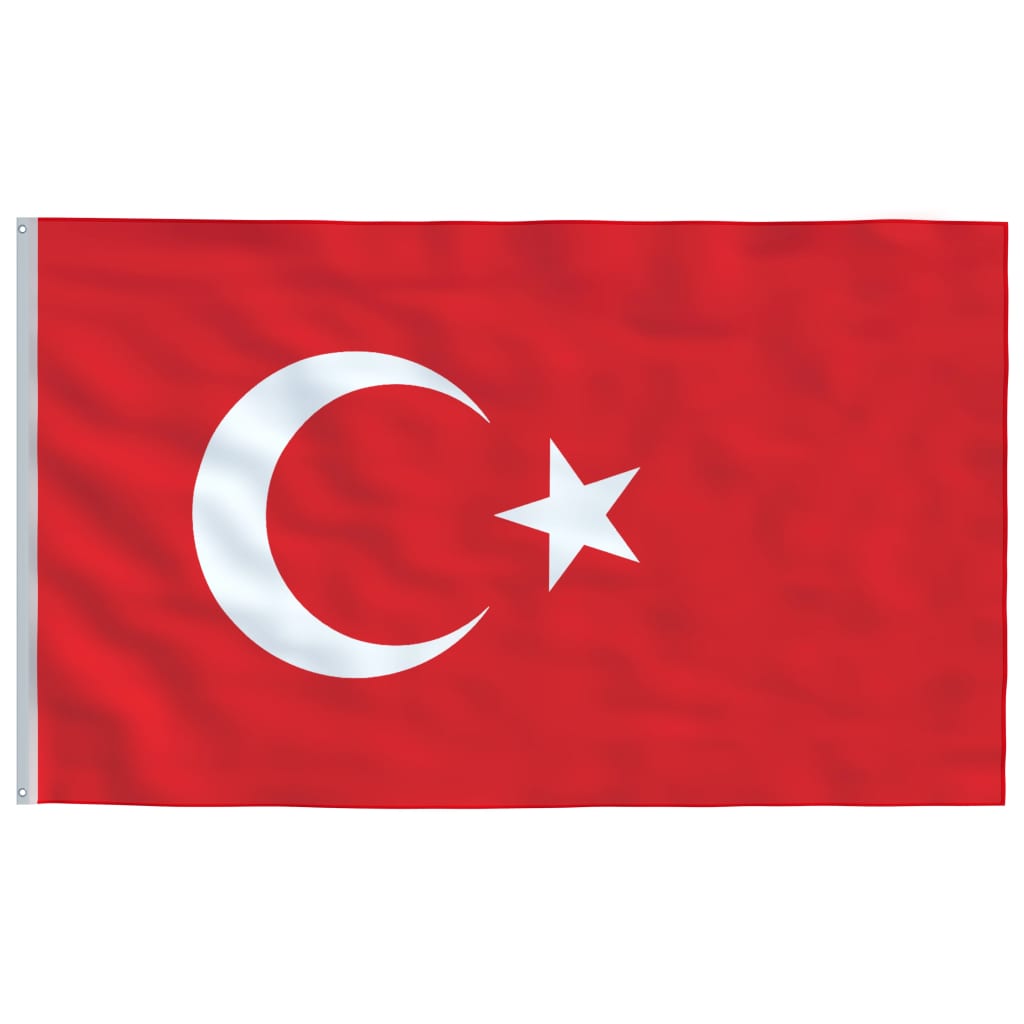 vidaXL Turkijos vėliava su stiebu, aliuminis, 6,23m