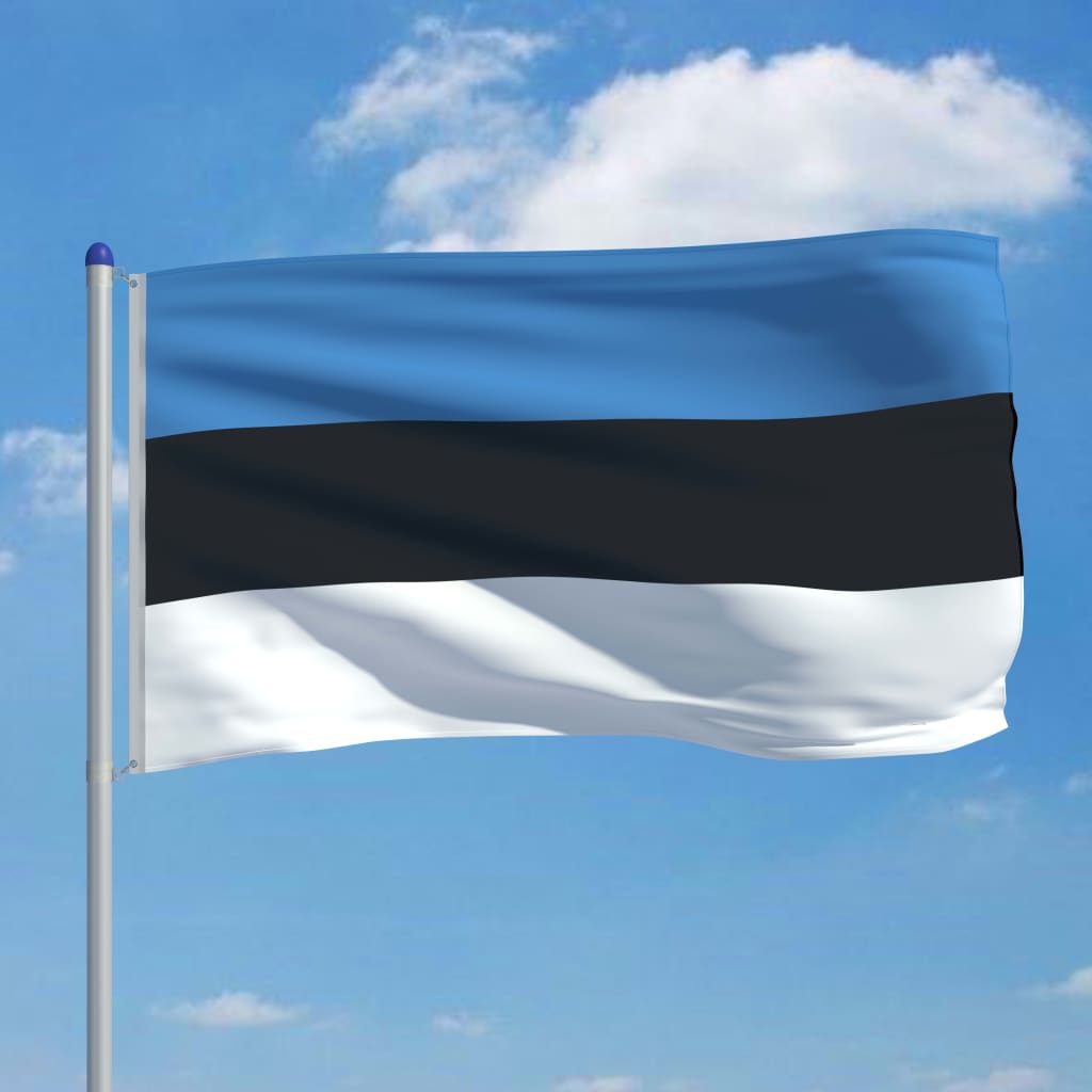 vidaXL Estijos vėliava su stiebu, aliuminis, 6m