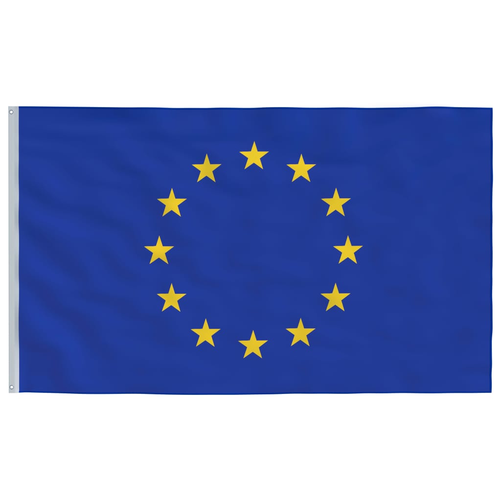 vidaXL Europos Sąjungos vėliava su stiebu, aliuminis, 6m