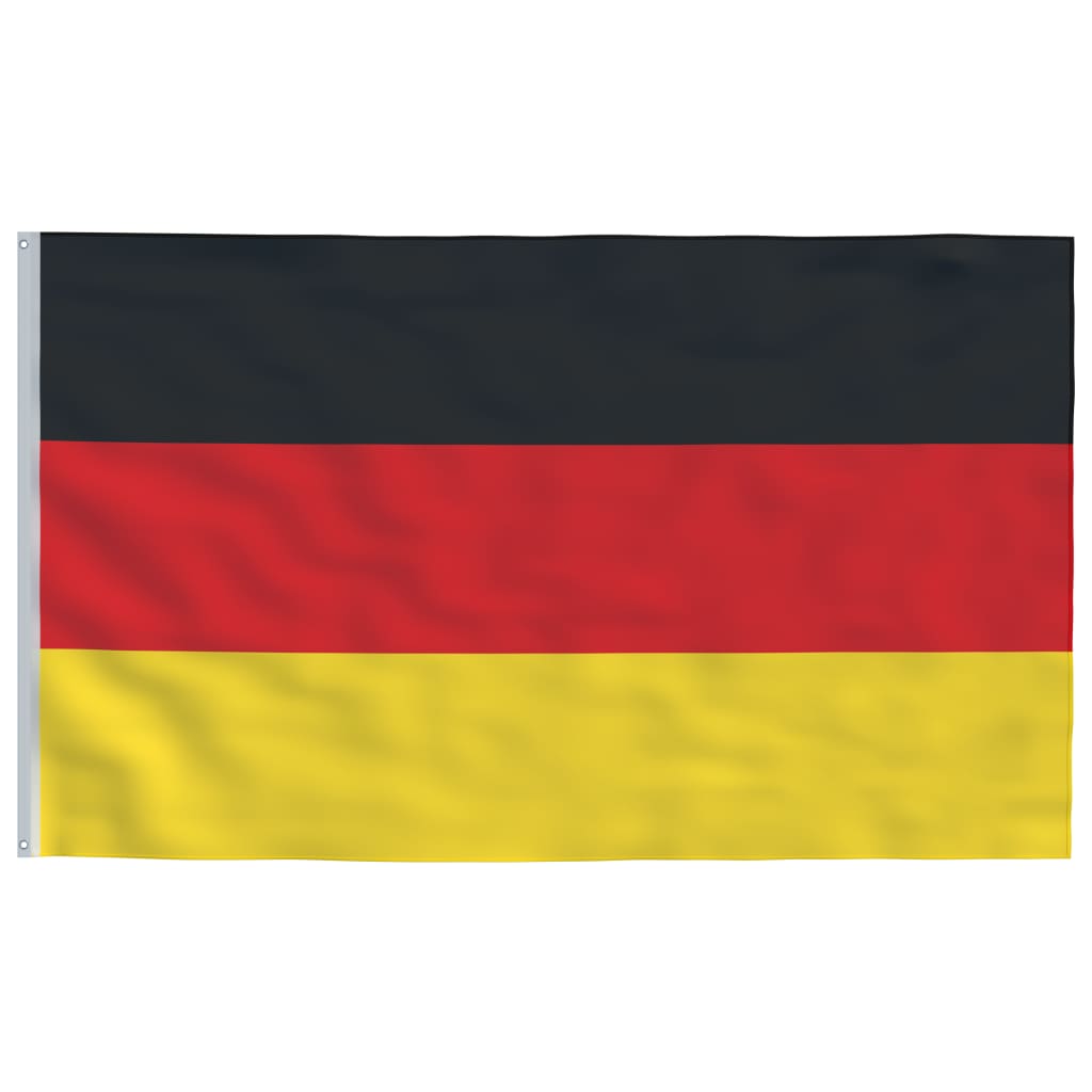 vidaXL Vokietijos vėliava su stiebu, aliuminis, 5,55m