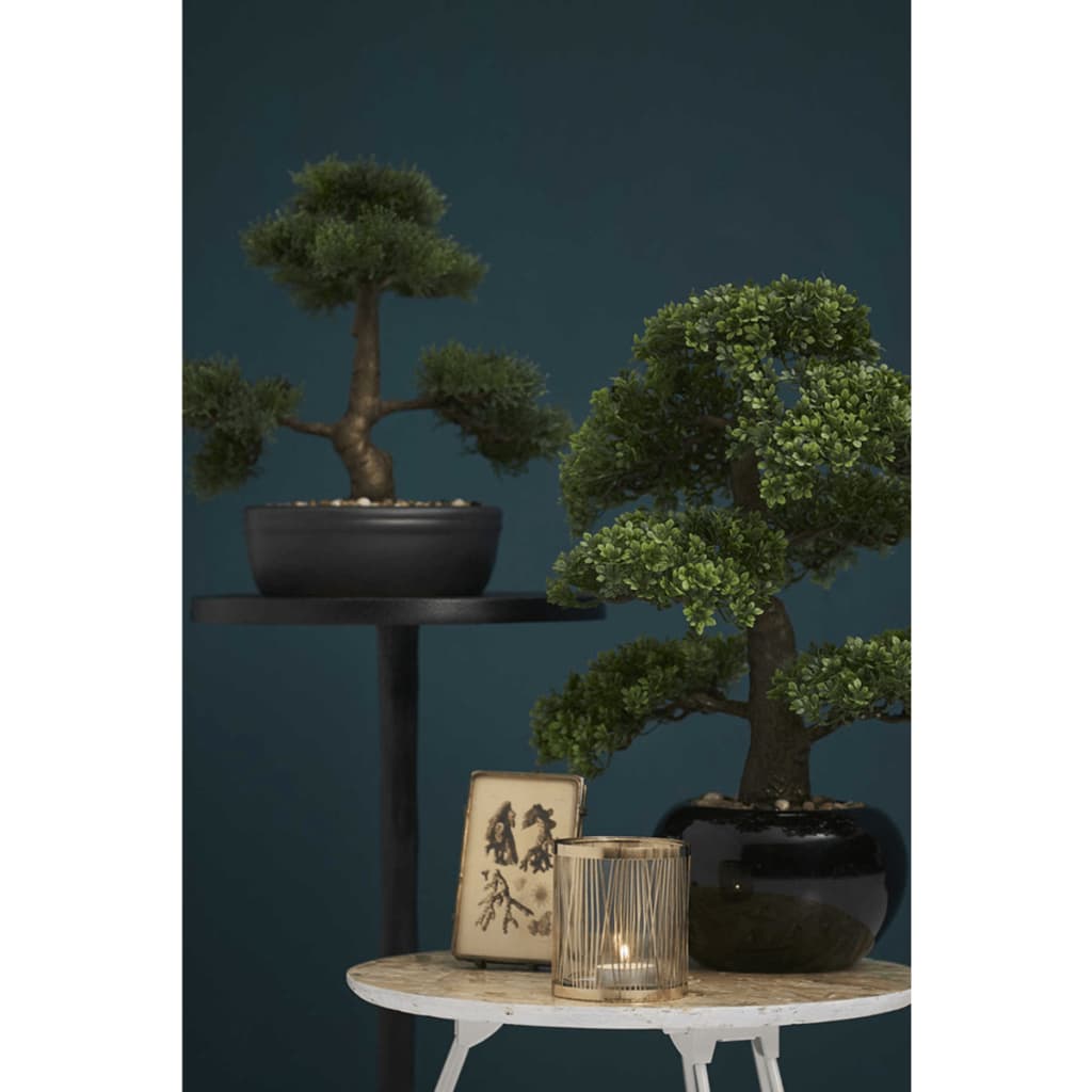 Emerald Dirbtinis fikusas, mini bonsai medis, žalias, 47cm, 420006