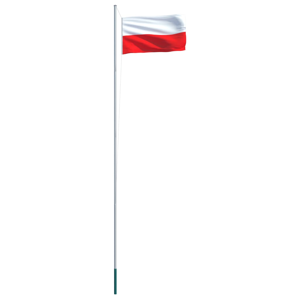 vidaXL Lenkijos vėliava su stiebu, aliuminis, 6,2m