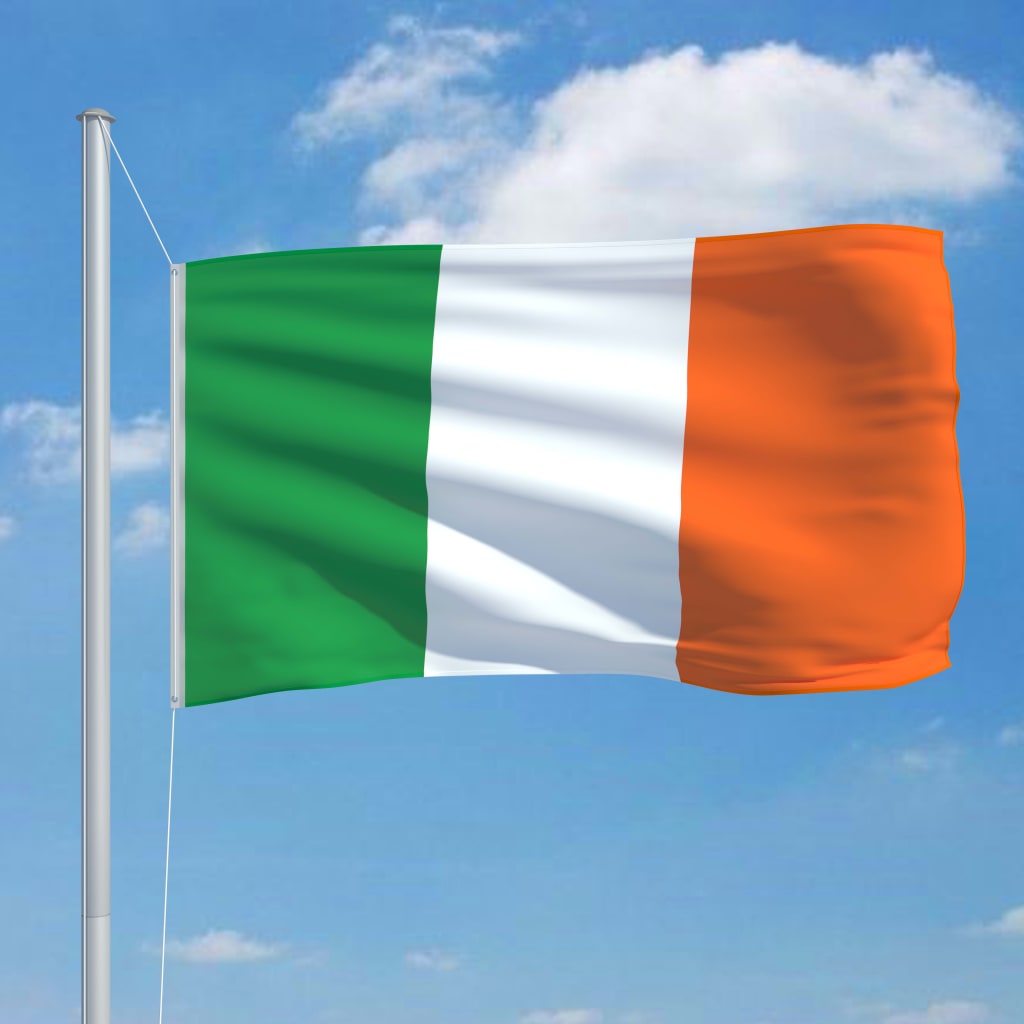 vidaXL Airijos vėliava, 90x150cm