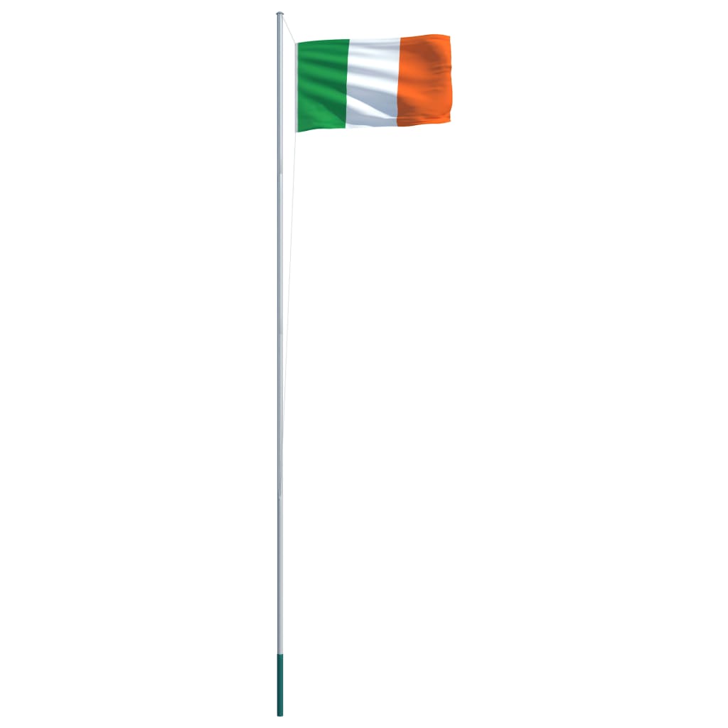 vidaXL Airijos vėliava su stiebu, aliuminis, 6,2m