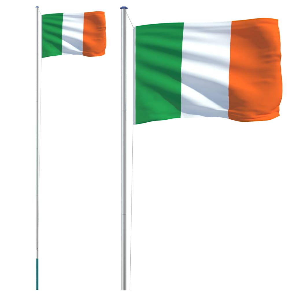 vidaXL Airijos vėliava su stiebu, aliuminis, 6,23m
