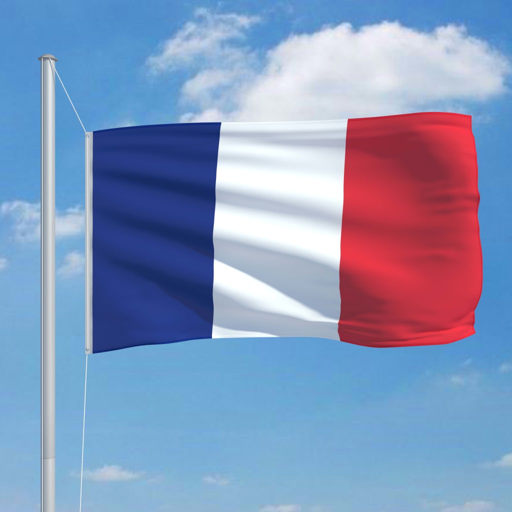 vidaXL Prancūzijos vėliava su stiebu, aliuminis, 6,2m