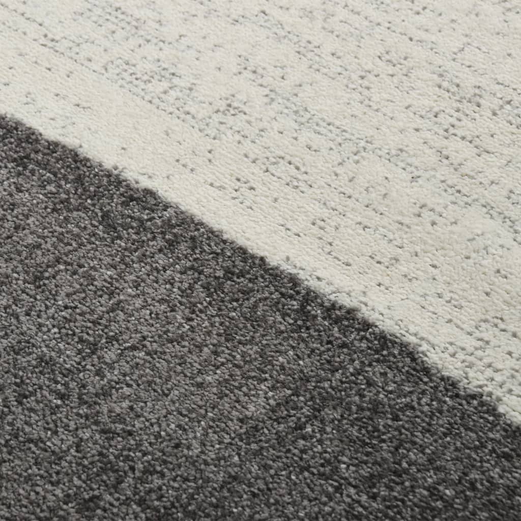 vidaXL Svetainės kilimas, įvairių spalvų, 120x170cm