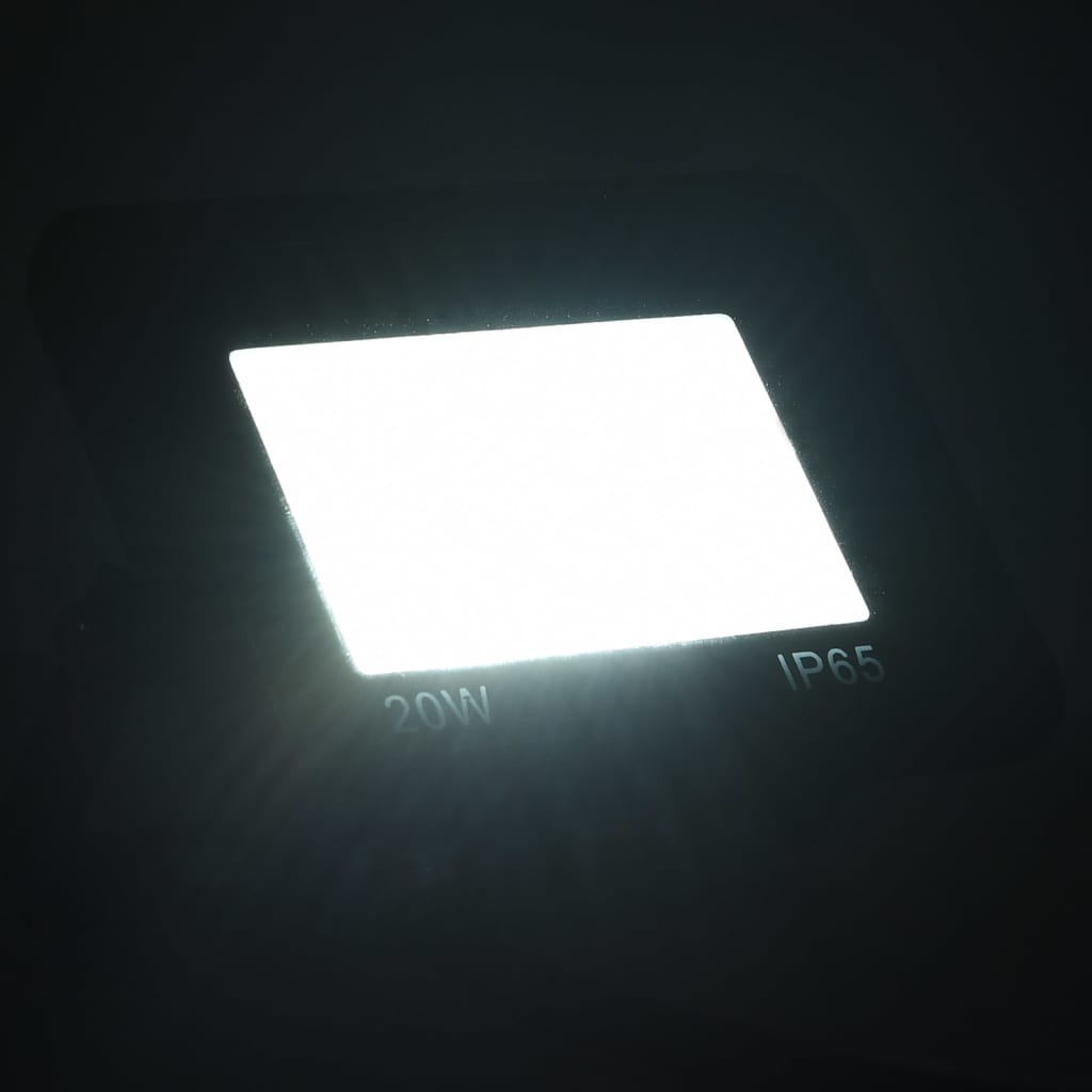 vidaXL LED prožektoriai, 2vnt., šaltos baltos spalvos, 20W