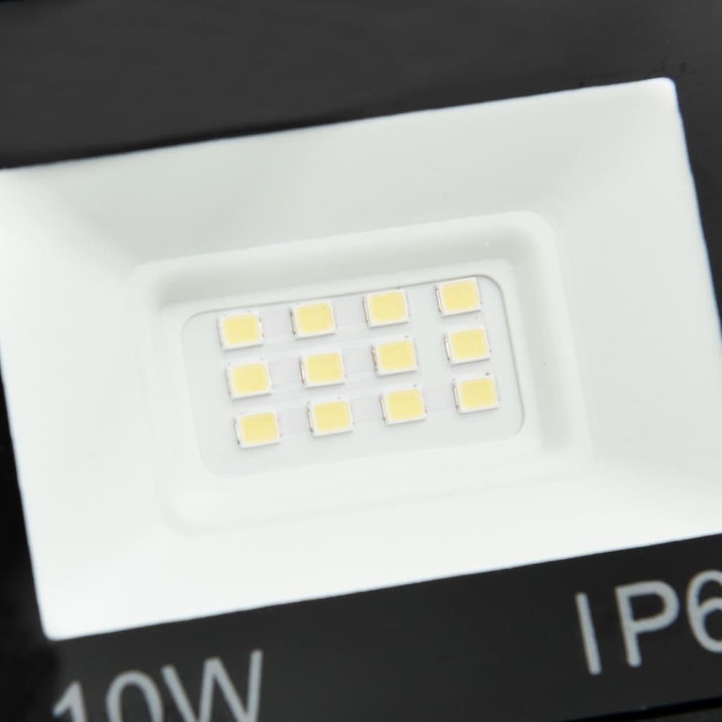 vidaXL LED prožektorius, šaltos baltos spalvos, 10W