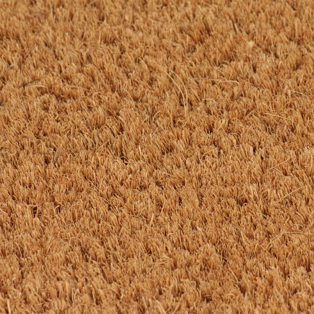 vidaXL Durų kilimėliai, 2vnt., kokoso pluošt., 24mm, 40x60cm, nat. sp.
