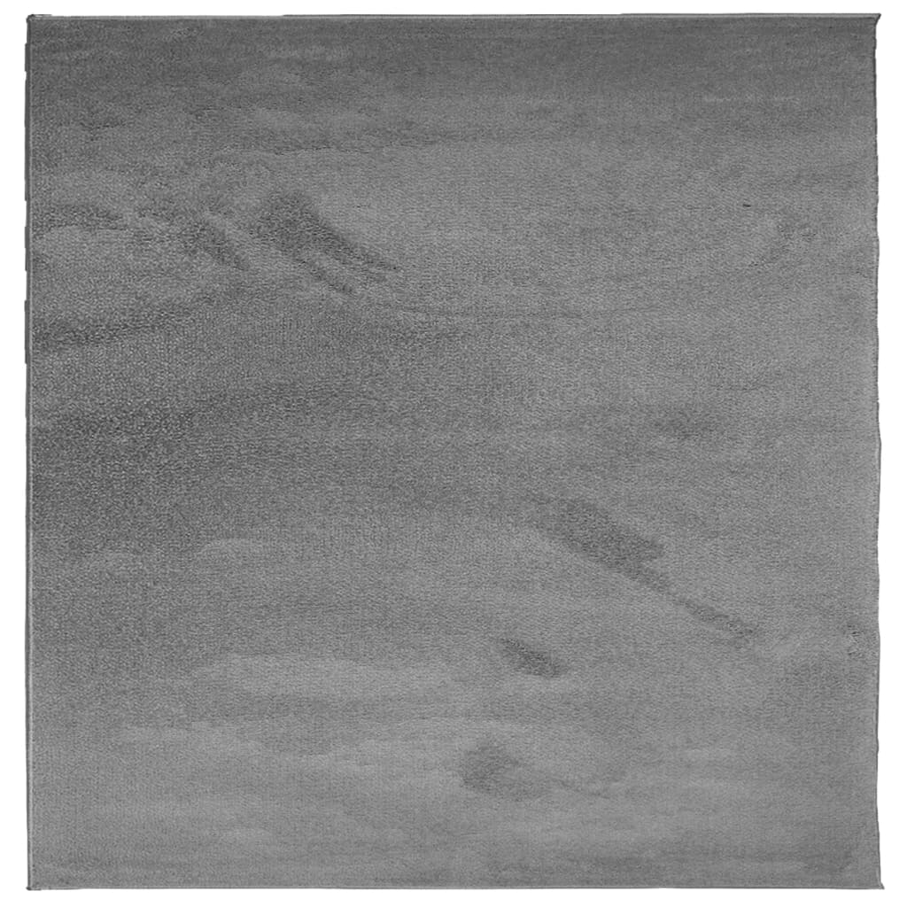 vidaXL Kilimas OVIEDO, antracito spalvos, 120x120cm, trumpi šereliai