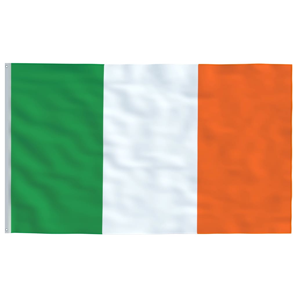vidaXL Airijos vėliava su stiebu, aliuminis, 4m