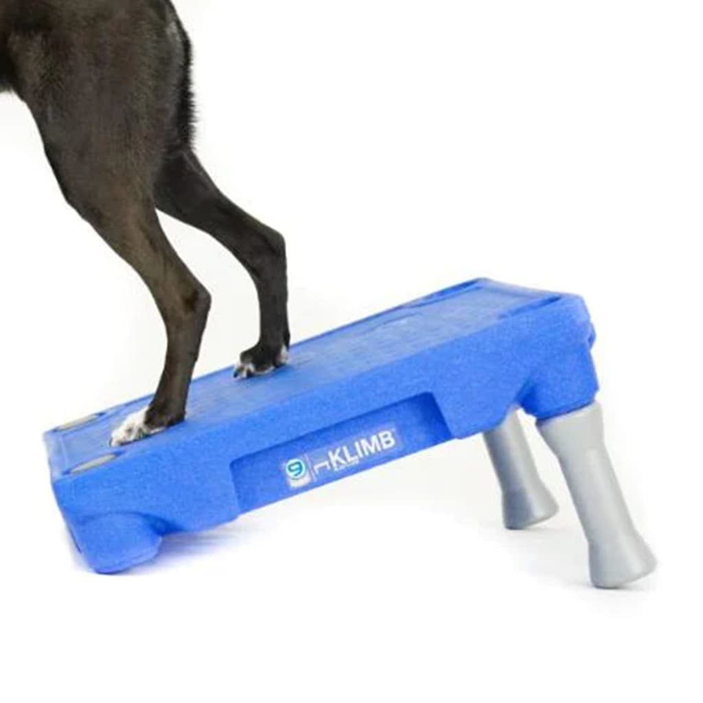 BLUE-9 Platforma KLIMB šunų treniravimo sistemai, mėlynos spalvos