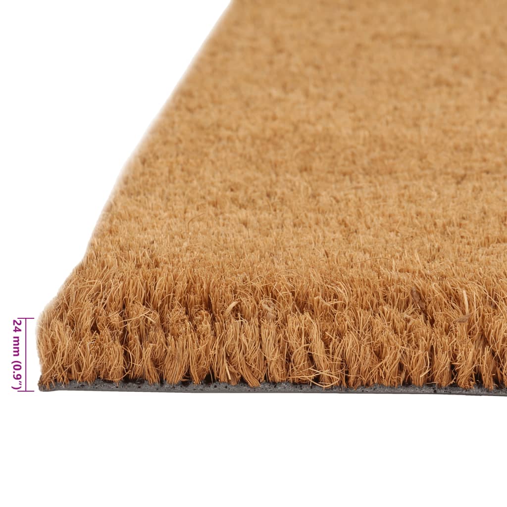 vidaXL Durų kilimėliai, 2vnt., natūralūs, 40x60cm, kokoso pluoštas