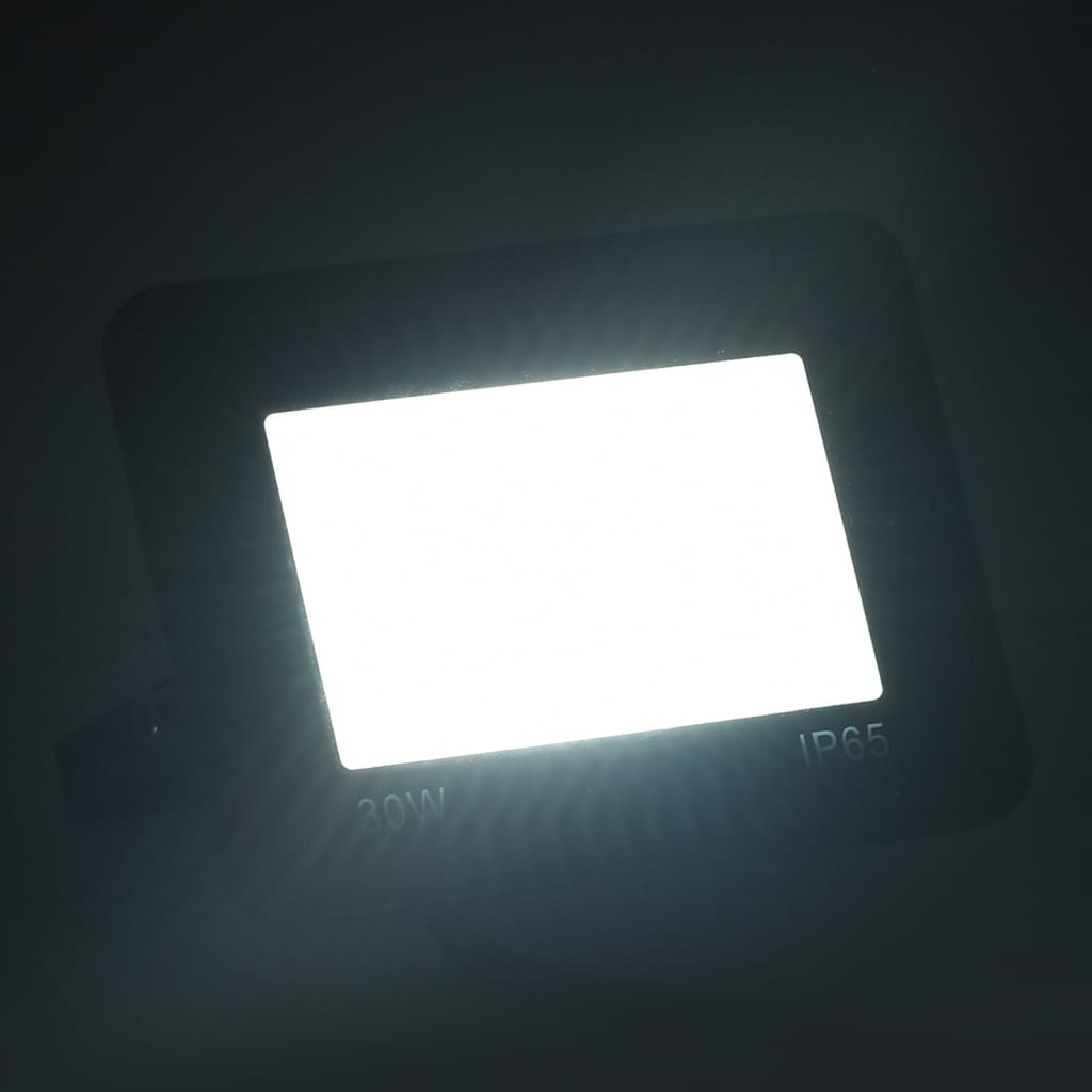 vidaXL LED prožektorius, šaltos baltos spalvos, 30W