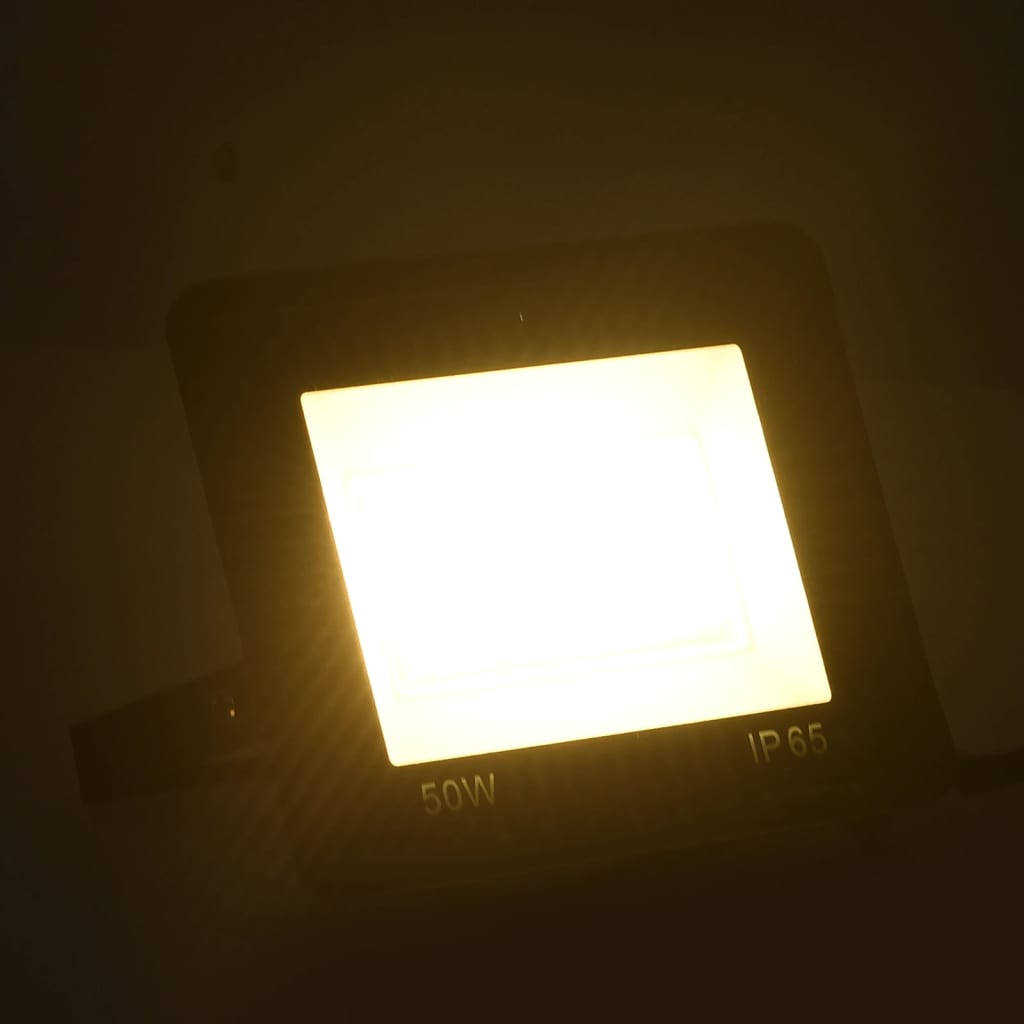 vidaXL LED prožektorius, šiltos baltos spalvos, 50W