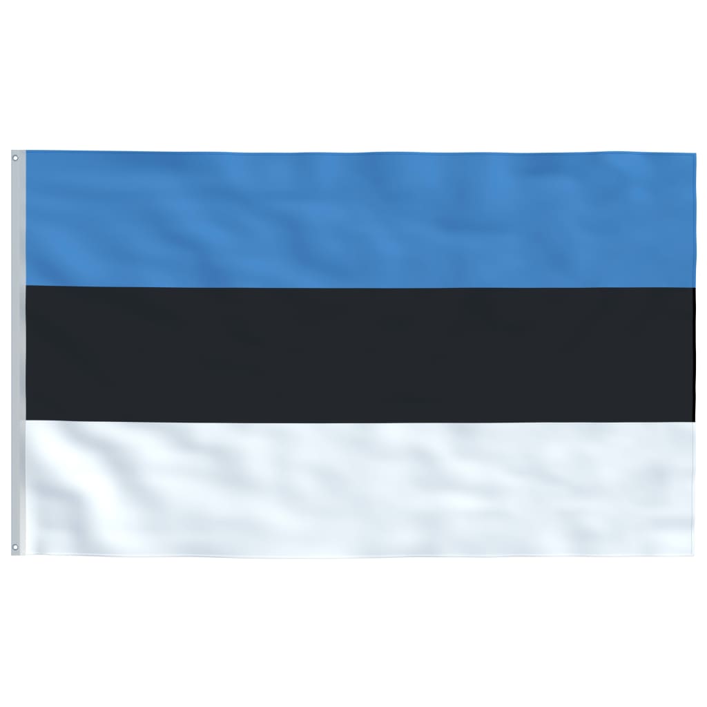 vidaXL Estijos vėliava su stiebu, aliuminis, 6,2m