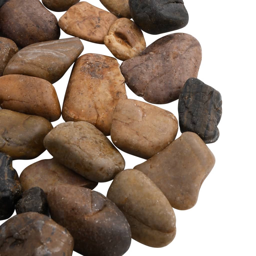 vidaXL Poliruoti akmenukai, įvairių spalvų, 25kg, 2–5cm