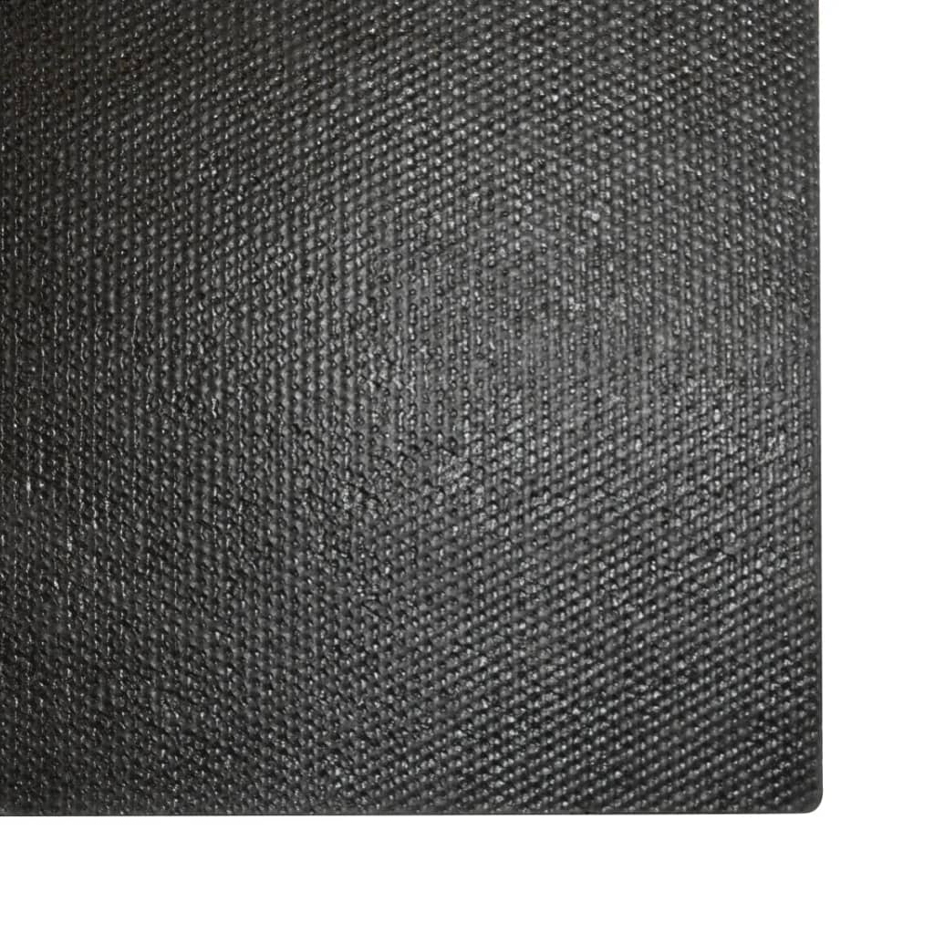 vidaXL Durų kilimėliai, 2vnt., kokoso pluošt., 24mm, 40x60cm, nat. sp.